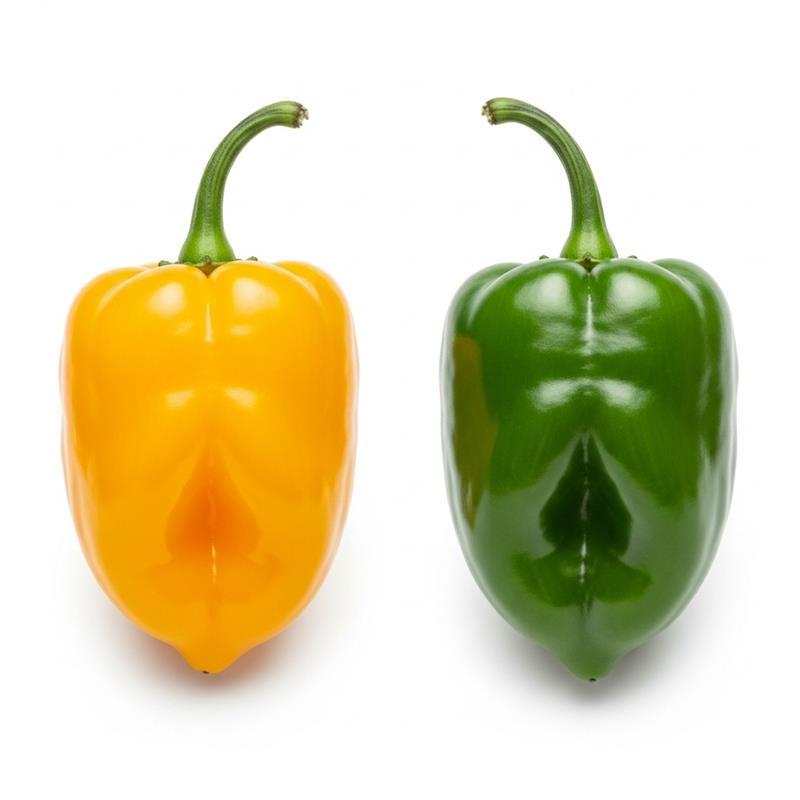 Hot Pepper yellow and green Mix