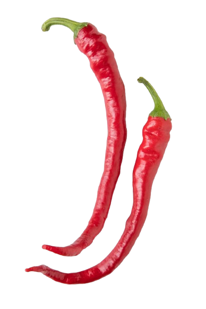 Sivri_Chilli-Netherlands